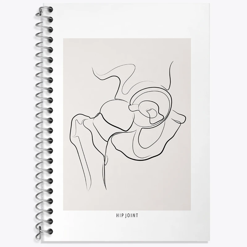 دفتر زبان 50 برگ خندالو مدل سه خط طرح مفصل ران (Hip Joint) کد F13913