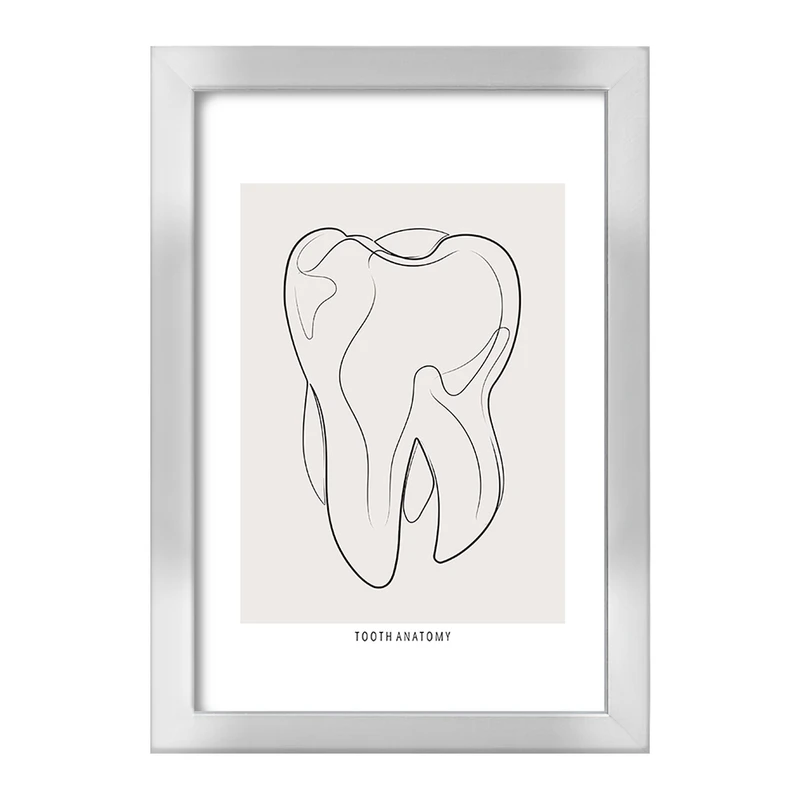 تابلو خندالو طرح آناتومی دندان (Tooth Anatomy) کد F13936