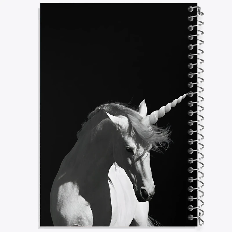 دفتر نقاشی 50 برگ خندالو طرح اسب تک شاخ کد F3864