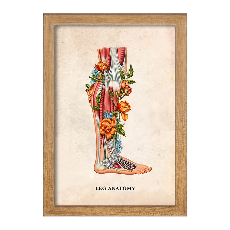 تابلو خندالو طرح آناتومی پا (Foot Anatomy کد F14015