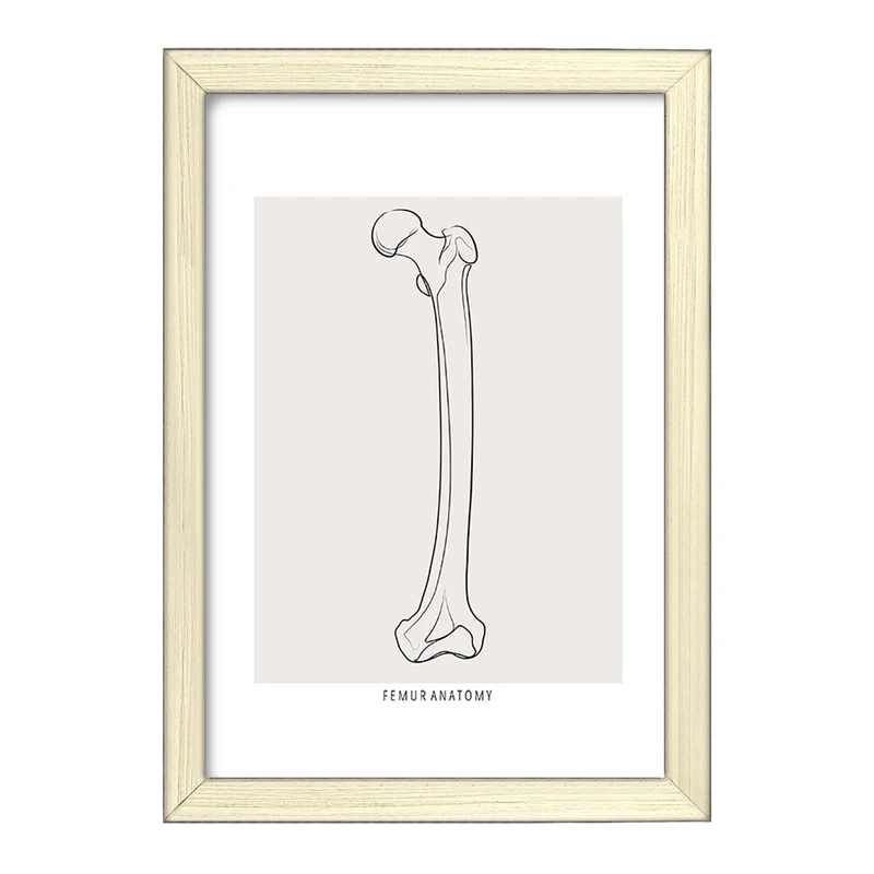 تابلو خندالو طرح آناتومی استخوان ران (Femur Anatomy) کد F13917