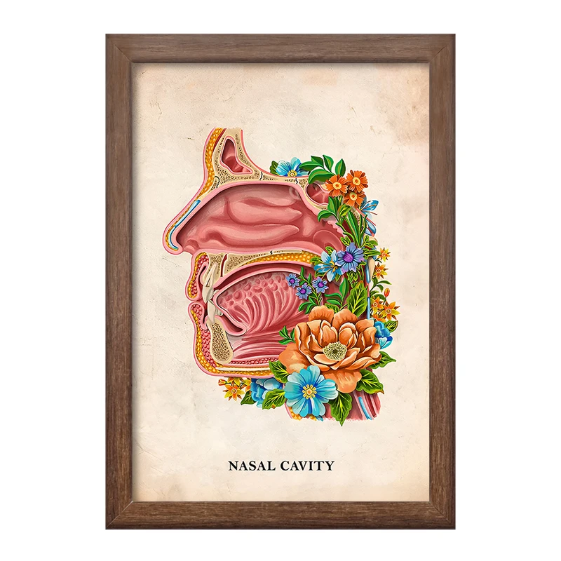 تابلو خندالو طرح حفره بینی (Nasal Cavity) کد F13992