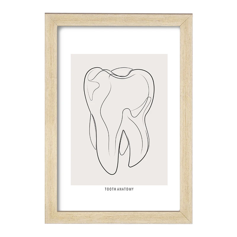 تابلو خندالو طرح آناتومی دندان (Tooth Anatomy) کد F13936