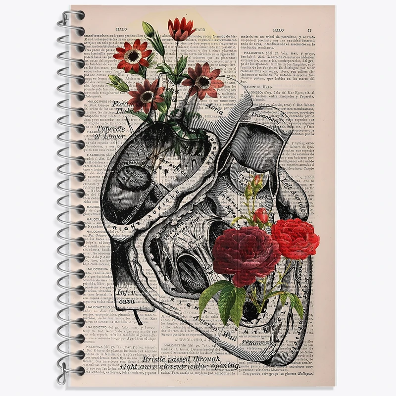 دفتر لغت 50 برگ خندالو طرح آناتومی قلب (Heart Anatomy) کد F14035