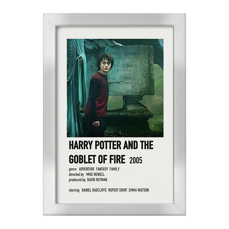 تابلو خندالو طرح هری پاتر (Harry Potter) کد F13405