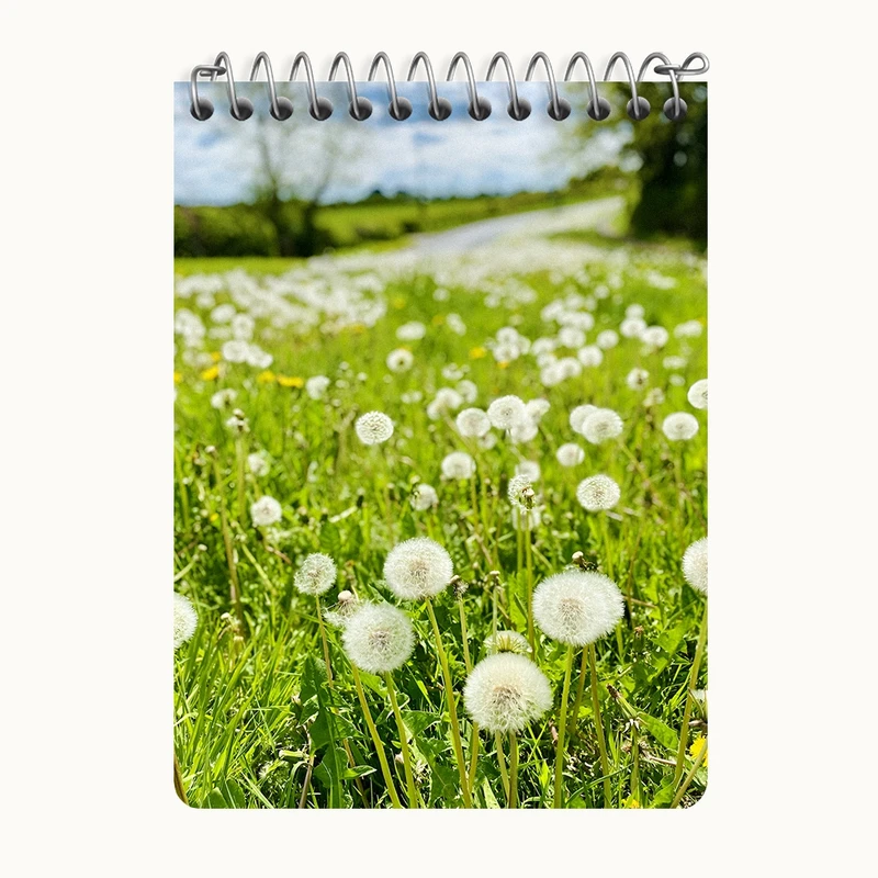 دفتر یادداشت 50 برگ خندالو طرح پترن قاصدک کد N7649