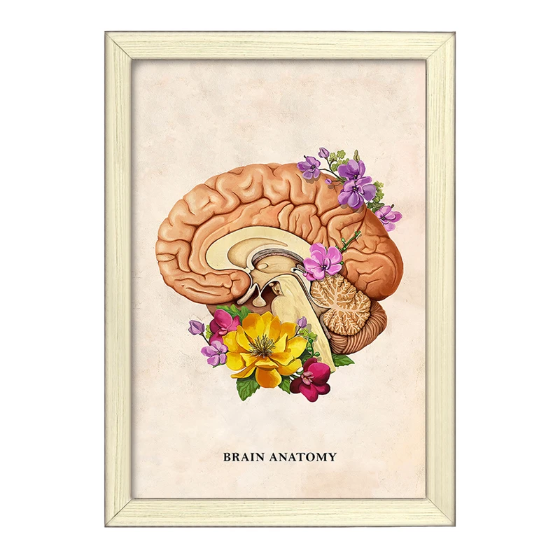 تابلو خندالو طرح آناتومی مغز (Brain Anatomy) کد F14028