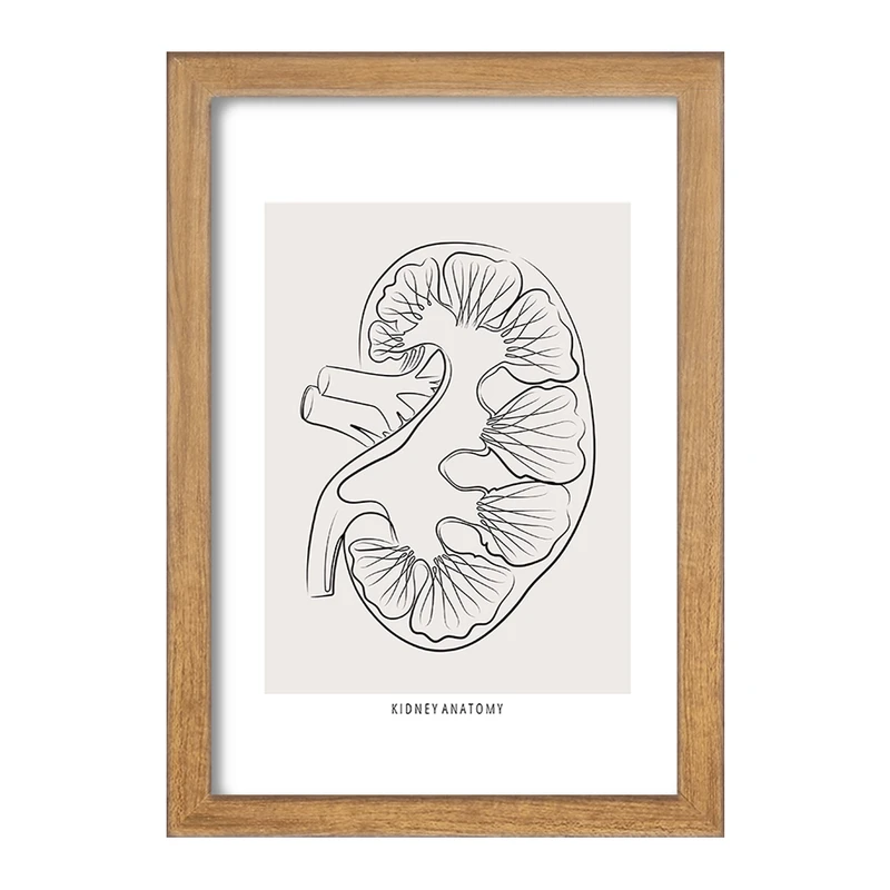 تابلو خندالو طرح آناتومی کلیه (kidney Anatomy) کد F13903