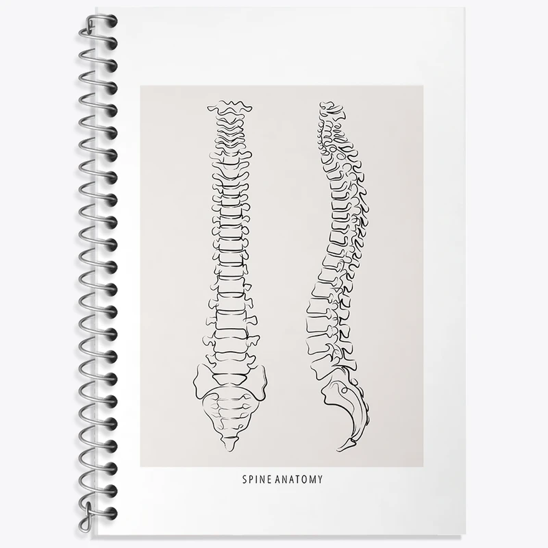 دفتر زبان 50 برگ خندالو مدل سه خط طرح آناتومی ستون فقرات (Spine Anatomy) کد F13909