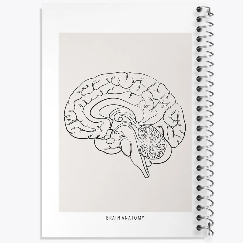 دفتر شطرنجی 50 برگ خندالو طرح آناتومی مغز (Brain Anatomy) کد F13891