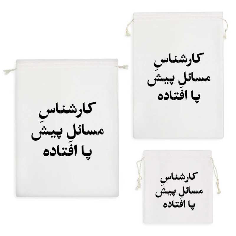 نظم دهنده خندالو مدل کارشناس مسائل پیش پا افتاده کد 10514 مجموعه 3 عددی