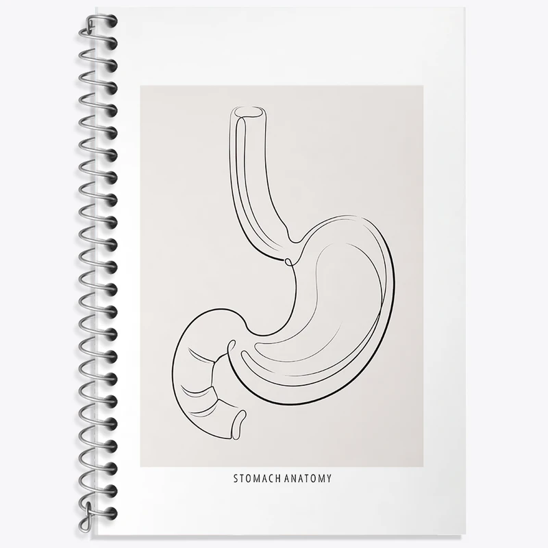 دفتر زبان دوخط 50 برگ خندالو طرح آناتومی معده (Stomach Anatomy) کد F13904