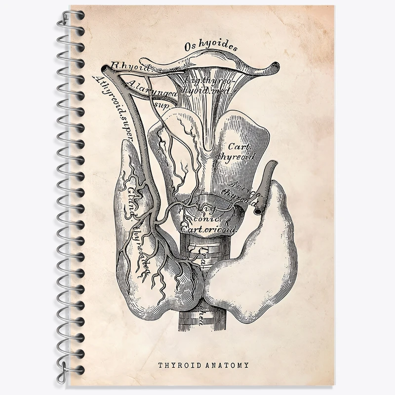 دفتر نت موسیقی 50 برگ خندالو طرح آناتومی تیروئید (Thyroid Anatomy) کد F13953
