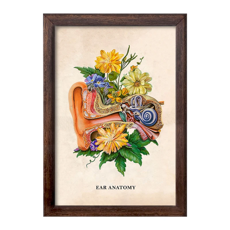 تابلو خندالو طرح آناتومی گوش (Ear Anatomy) کد F14021