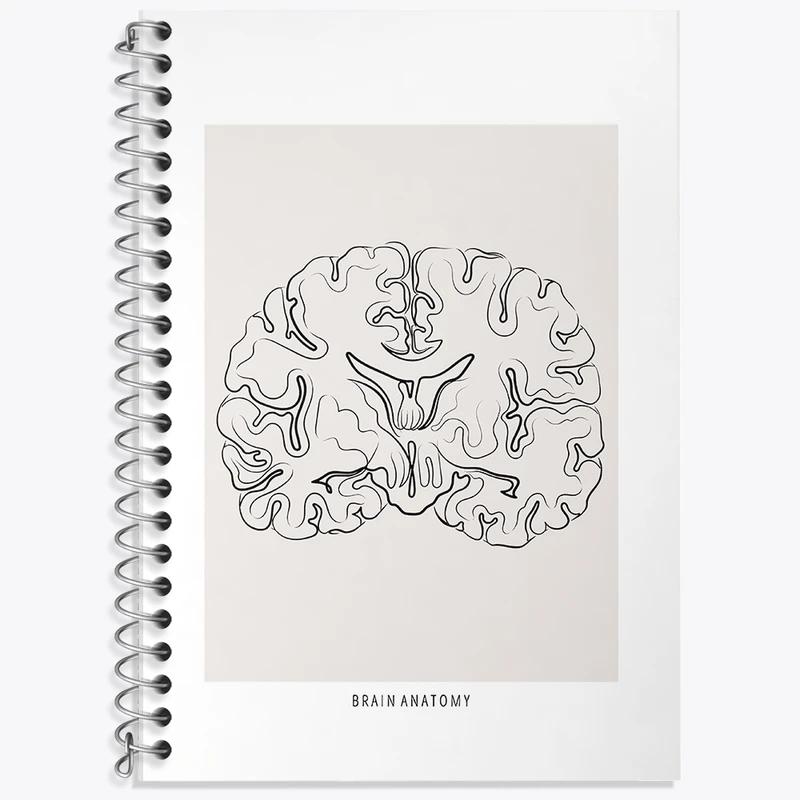 دفتر زبان 50 برگ خندالو مدل سه خط طرح آناتومی مغز (Brain Anatomy) کد F13892