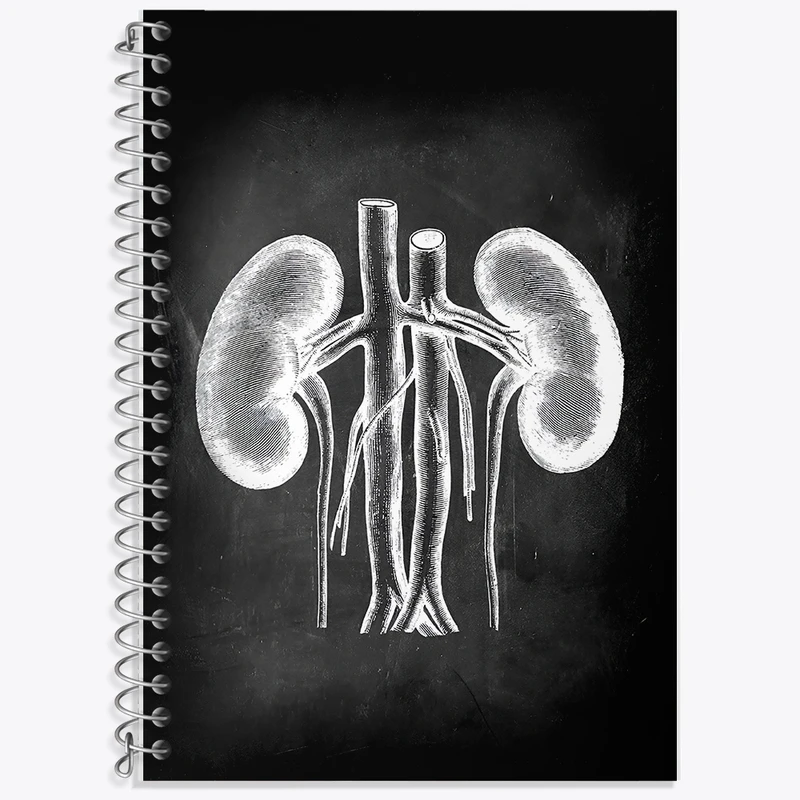 دفتر زبان 50 برگ خندالو مدل سه خط طرح آناتومی کلیه (kidney Anatomy) کد F13959