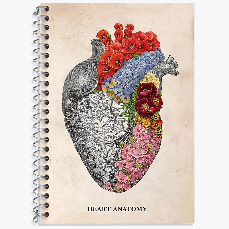دفتر زبان 50 برگ خندالو مدل سه خط طرح آناتومی قلب (Heart Anatomy) کد F14001