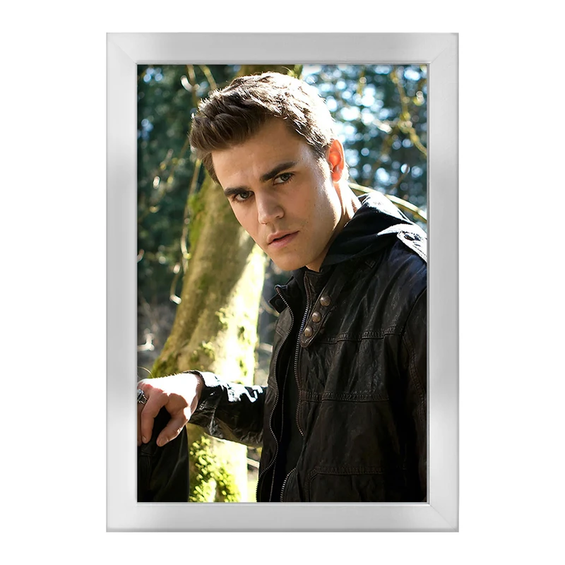 تابلو خندالو طرح استفان سالواتوره خاطرات یک خون آشام  The Vampire Diaries  کد 23682