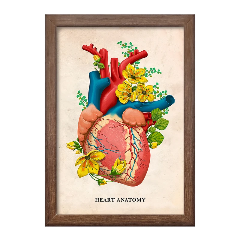 تابلو خندالو طرح آناتومی قلب (Heart Anatomy) کد F14016
