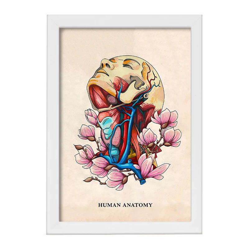 تابلو خندالو طرح آناتومی انسان (Human Anatomy) کد F14017