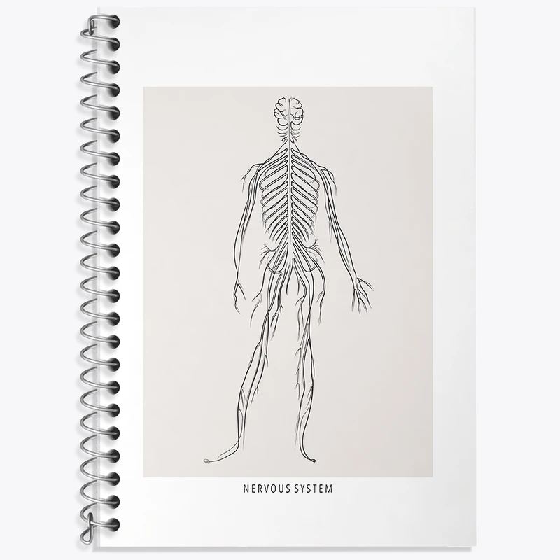 دفتر لغت 50 برگ خندالو طرح سیستم عصبی (Nervous System) کد F13922