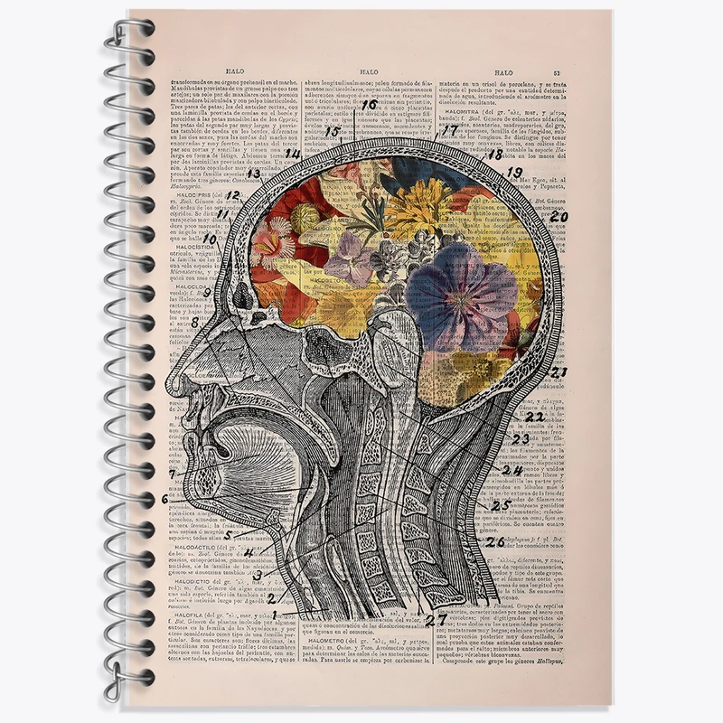 دفتر زبان 50 برگ خندالو مدل سه خط طرح آناتومی مغز (Brain Anatomy) کد F14038
