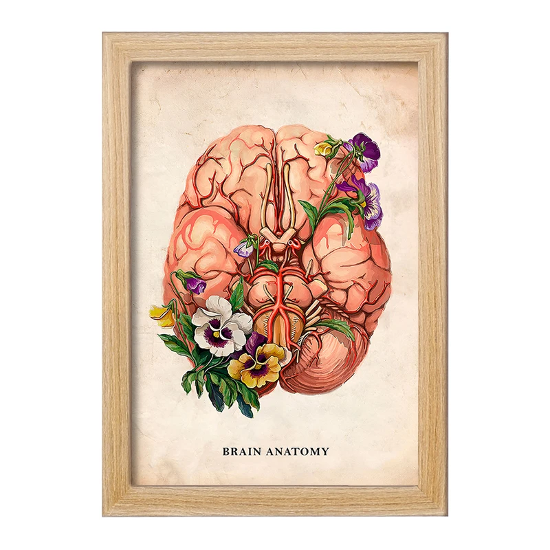 تابلو خندالو طرح آناتومی مغز (Brain Anatomy) کد F13976