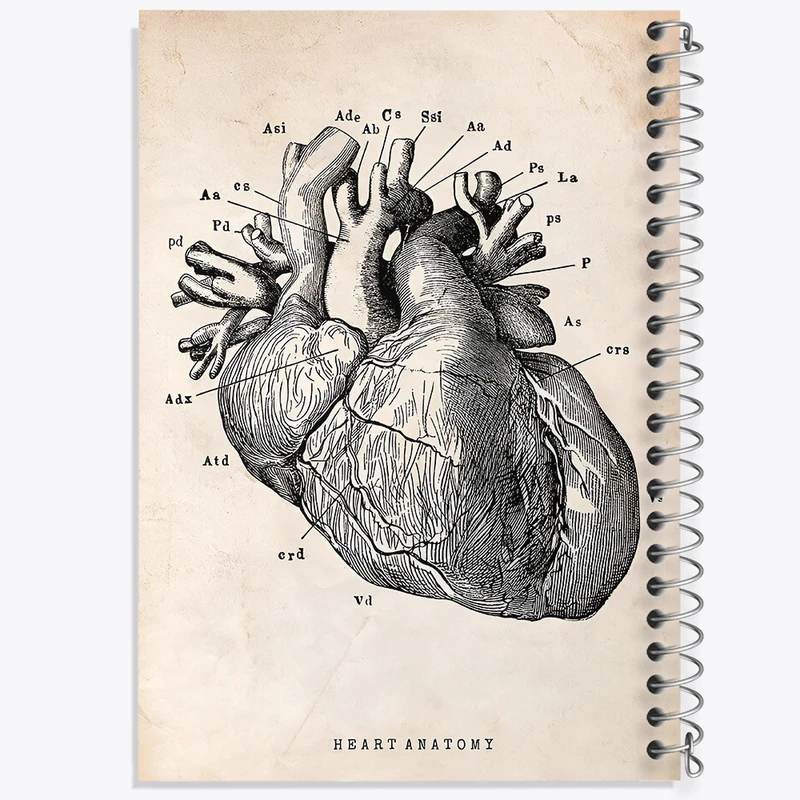 دفتر مشق 50 برگ خندالو طرح آناتومی قلب (Heart Anatomy) کد F13942