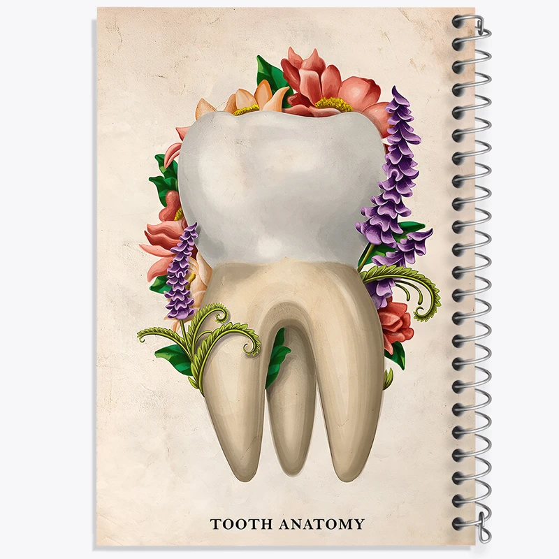 دفتر نقاشی 50 برگ خندالو طرح آناتومی دندان (Tooth Anatomy) کد F13980