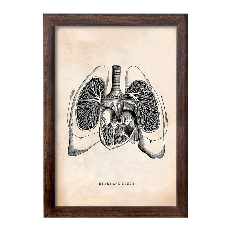 تابلو خندالو طرح آناتومی قلب (Heart Anatomy) کد F13952