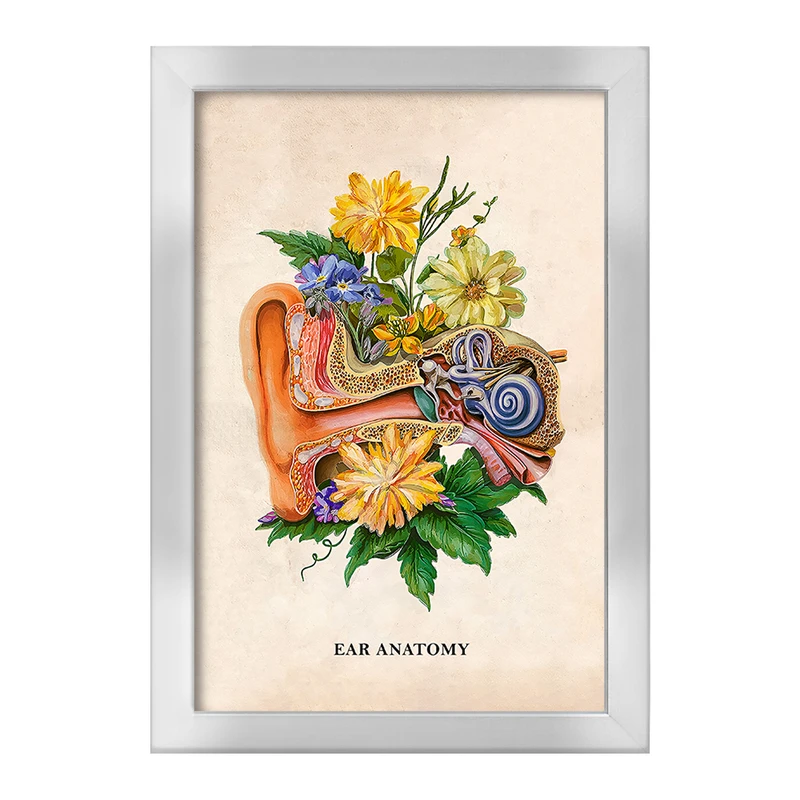 تابلو خندالو طرح آناتومی گوش (Ear Anatomy) کد F14021