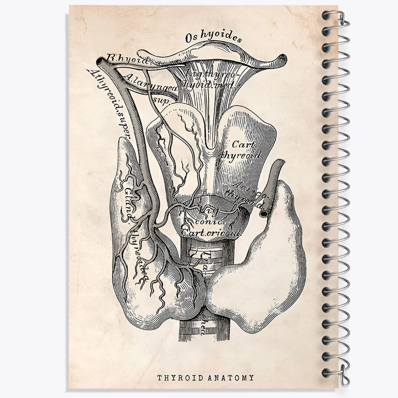 دفتر طراحی 50 برگ خندالو طرح آناتومی تیروئید (Thyroid Anatomy) کد F13953