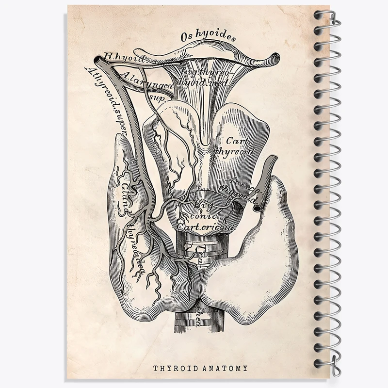 دفتر مشق 100 برگ خندالو طرح آناتومی تیروئید (Thyroid Anatomy) کد F13953
