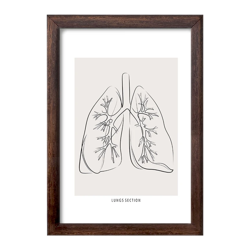 تابلو خندالو طرح آناتومی ریه ها (Lungs Anatomy) کد F13899