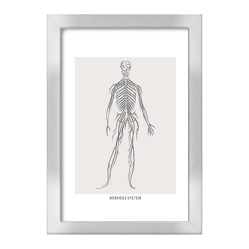 تابلو خندالو طرح سیستم عصبی (Nervous System) کد F13922