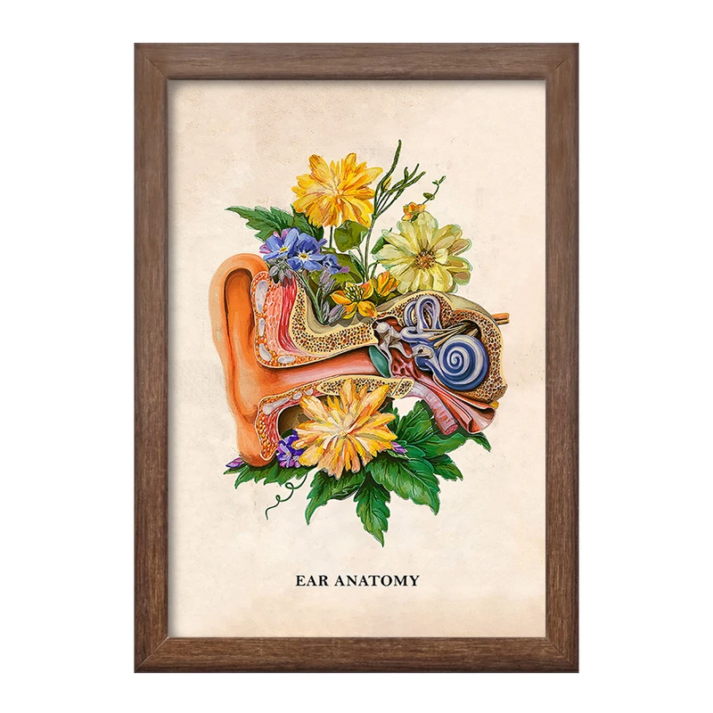 تابلو خندالو طرح آناتومی گوش (Ear Anatomy) کد F14021