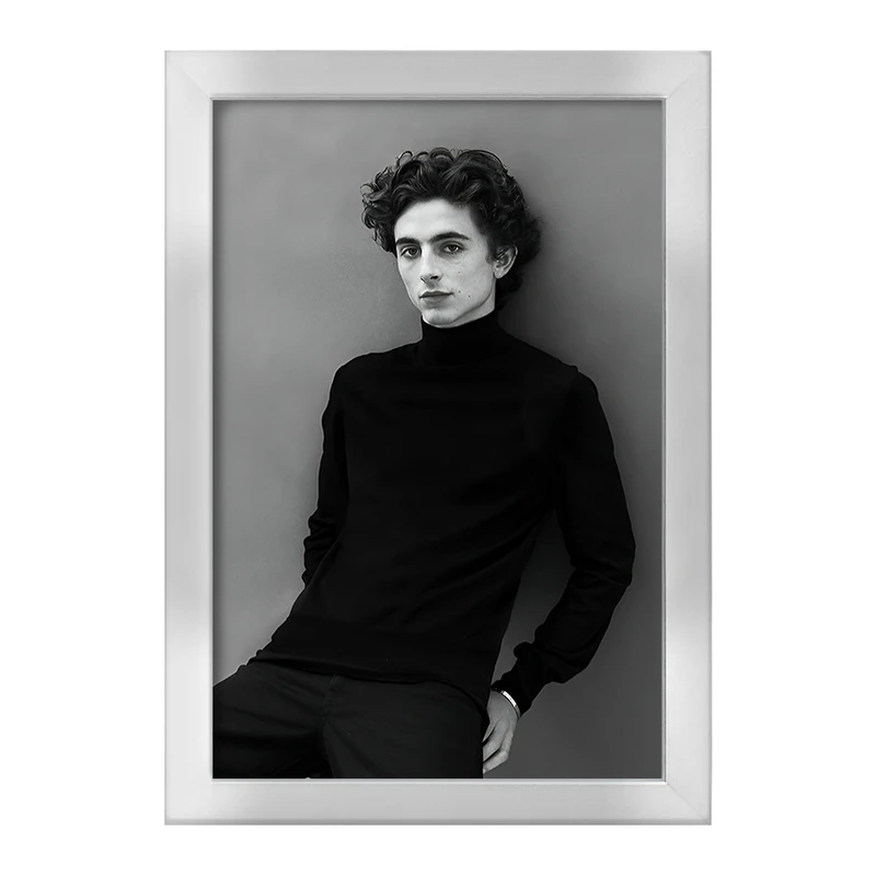 تابلو خندالو طرح تیموتی شالامی (Timothée Chalamet) کد F10252