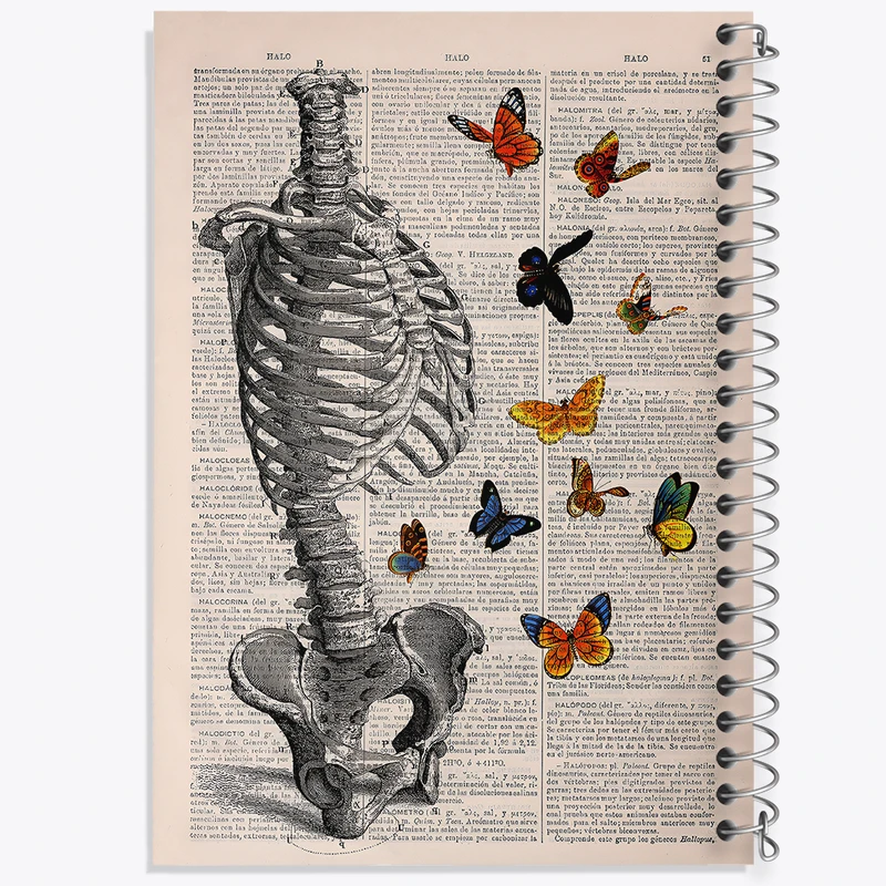 دفتر مشق 100 برگ خندالو طرح آناتومی اسکلت کد F14042