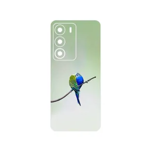 MAHOOT Lovebird Cover Sticker for Realme C71
