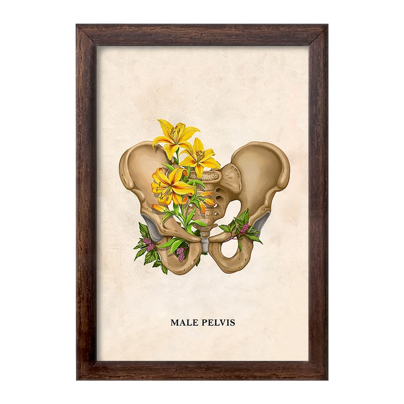 تابلو خندالو طرح آناتومی لگن (Pelvis Anatomy) کد F13999