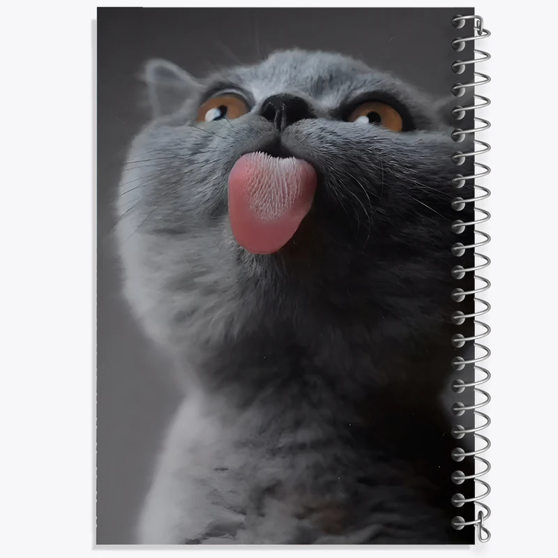 دفتر نقاشی 50 برگ خندالو طرح گربه کد F10727