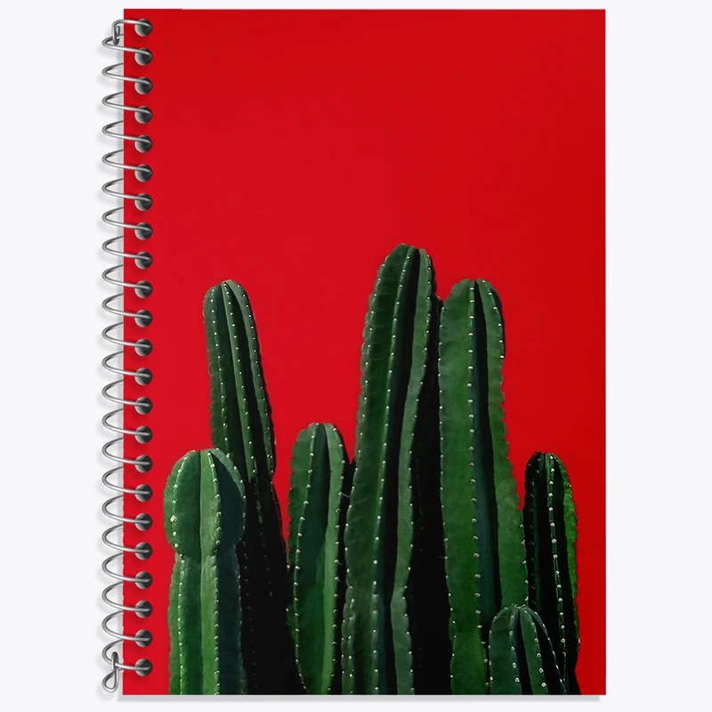 دفتر لغت 50 برگ خندالو طرح کاکتوس کد F3711