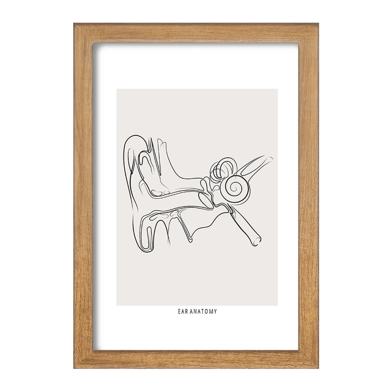 تابلو خندالو طرح آناتومی گوش (Ear Anatomy) کد F13932