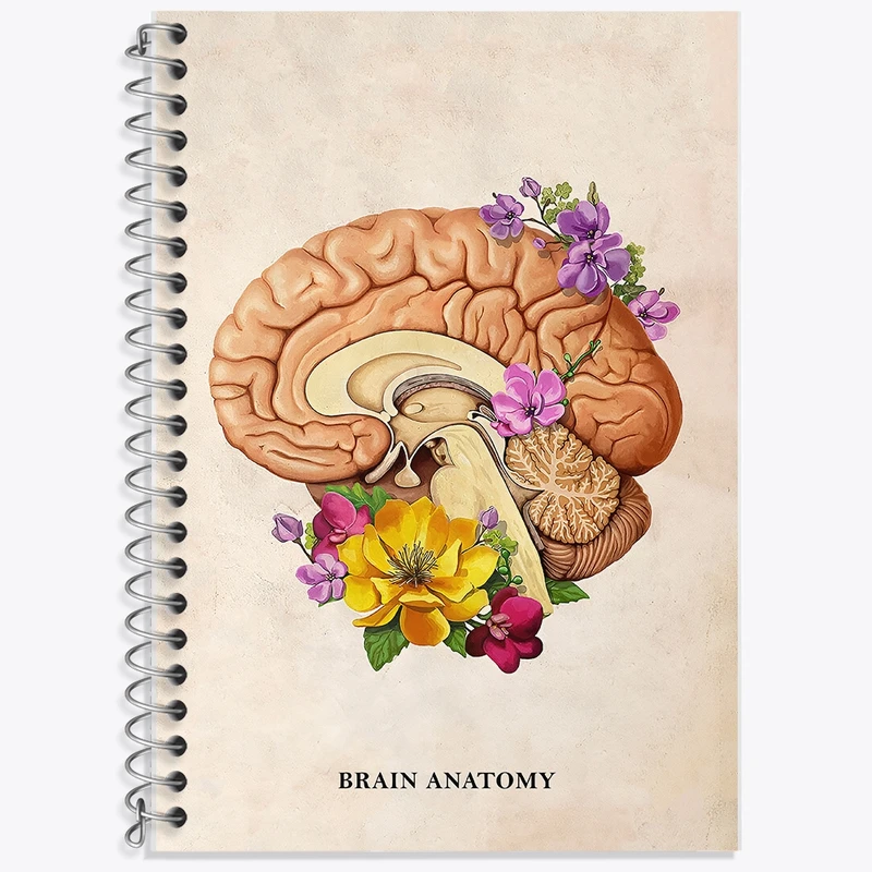دفتر لغت 50 برگ خندالو طرح آناتومی مغز (Brain Anatomy) کد F14028
