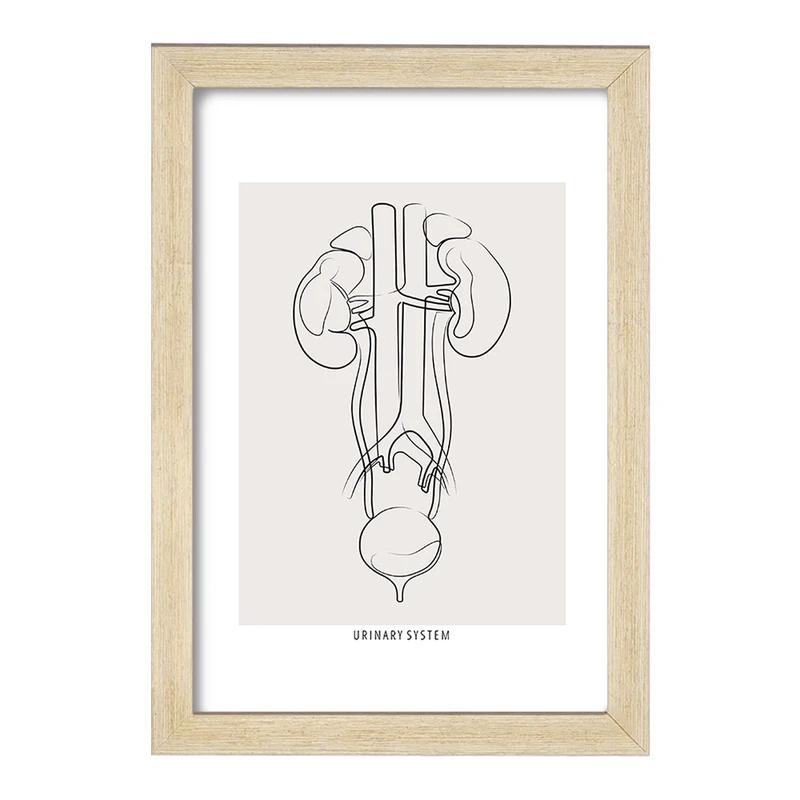 تابلو خندالو طرح سیستم ادراری (Urinary System) کد F13934