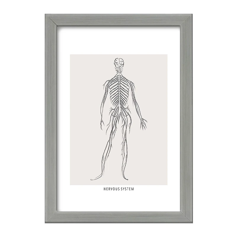 تابلو خندالو طرح سیستم عصبی (Nervous System) کد F13922