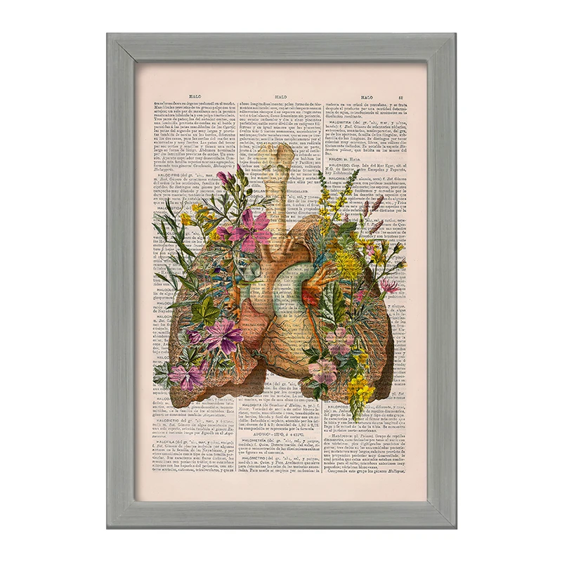 تابلو خندالو طرح آناتومی ریه ها (Lungs Anatomy) کد F14040