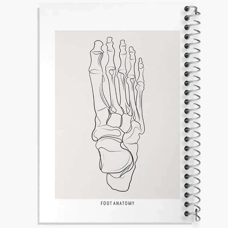 دفتر مشق 50 برگ خندالو طرح آناتومی پا (Foot Anatomy) کد F13921