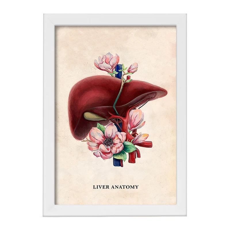 تابلو خندالو طرح آناتومی کبد (Liver anatomy) کد F14027