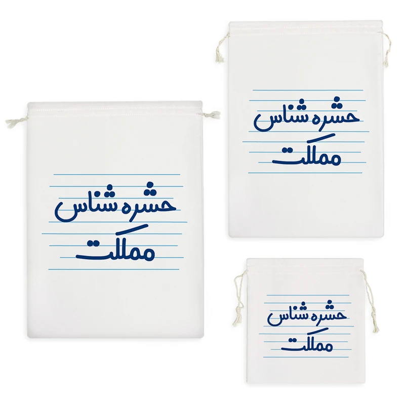 نظم دهنده خندالو مدل حشره شناس مملکت کد 4128 مجموعه 3 عددی